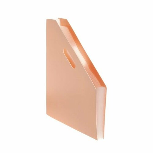 Лоток вертикальный для бумаг А4 пластик 12 отделений пастель бежевый 1300₽