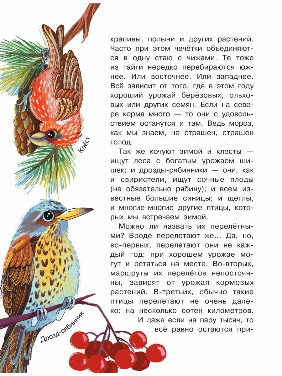 Куда летят перелётные птицы? (Волцит Петр Михайлович) - фото №10