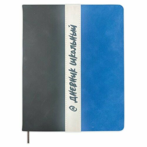 Дневник универсальный для 1-11 классов "Полоса", твёрдая обложка из искусственной кожи, шелкография, ляссе, 48 листов, чёрный+голубой