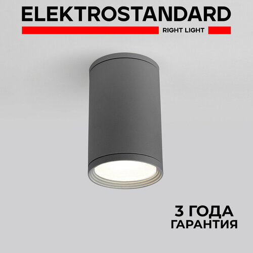 Уличный потолочный светильник Elektrostandard Light 2101 35128/H серый IP65 Серый