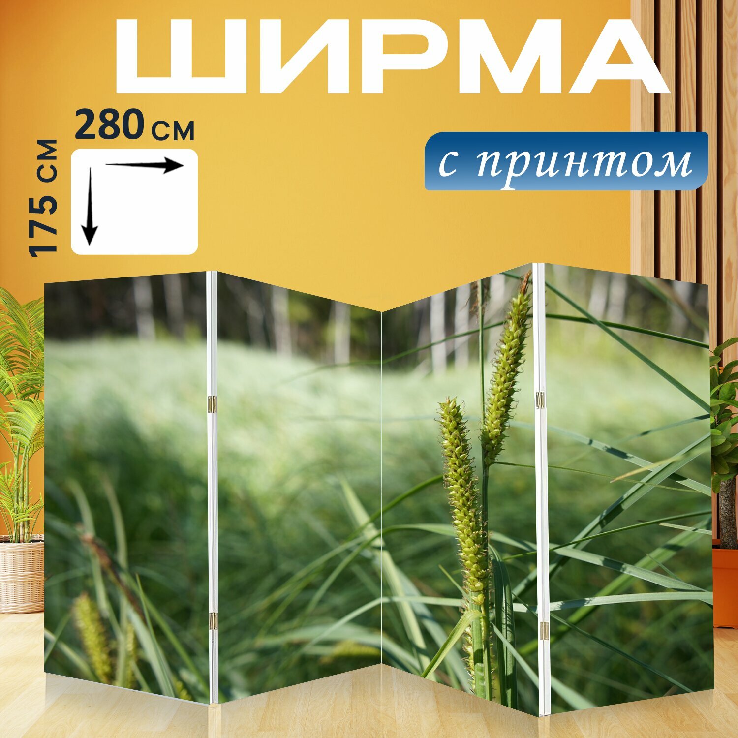 Ширма "Болото, трава, зеленый" перегородка для зонирования комнаты с принтом 280x175 см. на холсте