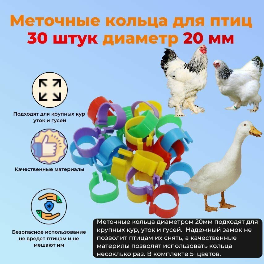 Меточные кольца для птиц кур уток 20 мм 30 штук разные