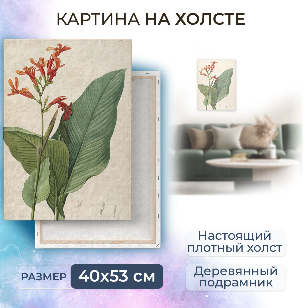 Картина на холсте с подрамником / Pierr - Joseph Redoute / Пьер-Жозеф Редуте