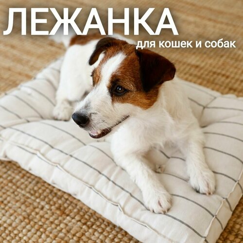 Лежанка матрас ретро СССР 50х40х7 см для домашних животных/собак, серая полоска, арт. MR_M/grey320