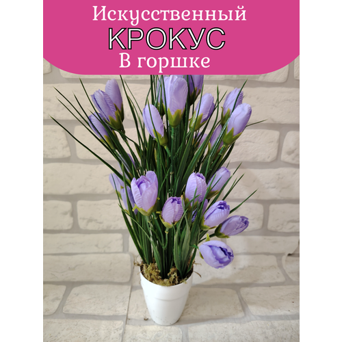 Крокус в горшке от бренда Лотос 500₽