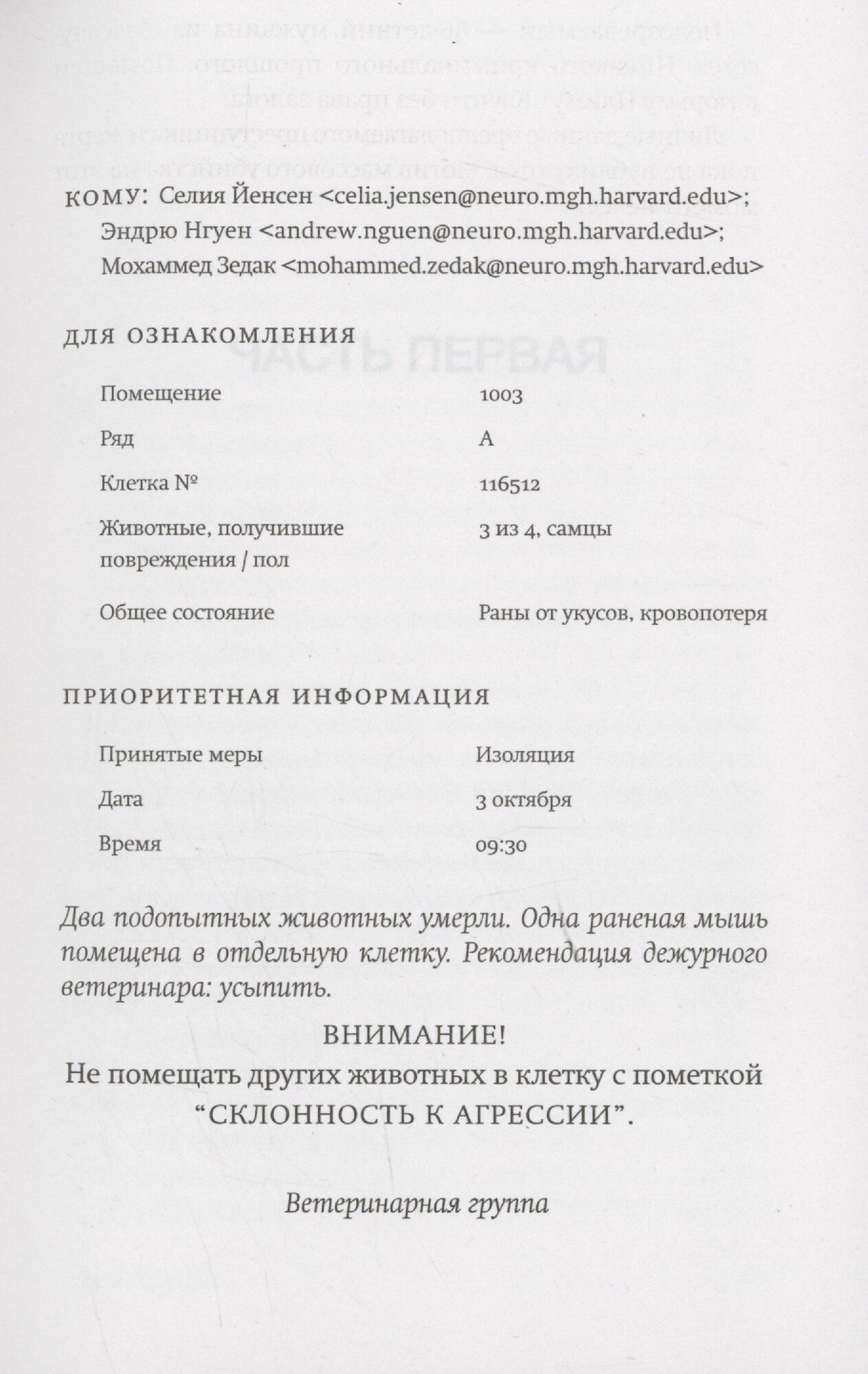 Картинки Фаза 3