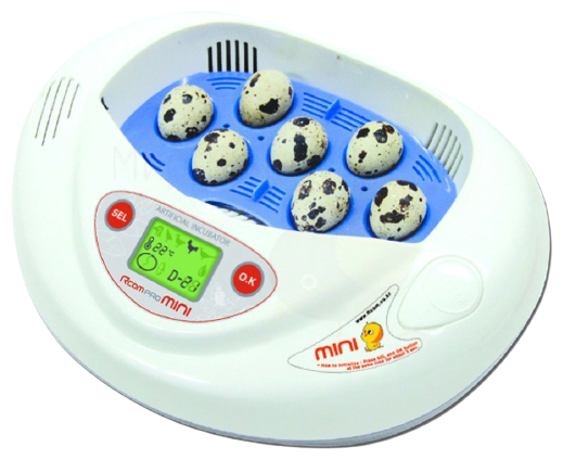 Инкубатор Rcom Mini PRO автоматический для яиц - фотография № 1