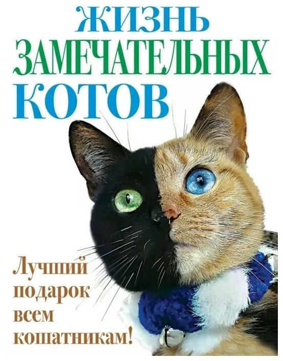Жизнь замечательных котов (Незвинская Л. (ред.)) - фото №1