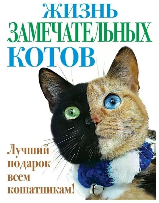 Жизнь замечательных котов (без автора) - фото №1