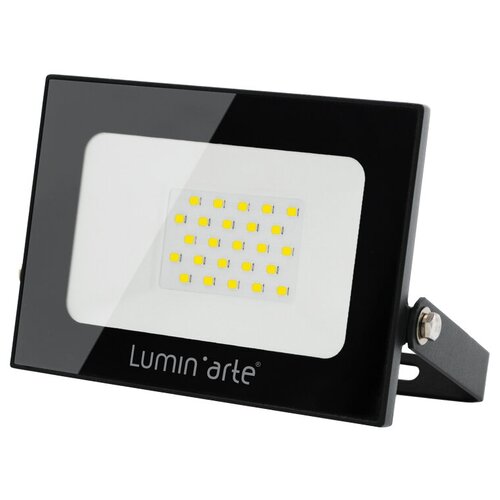 Светодиодный прожектор Luminarte LFL-30W