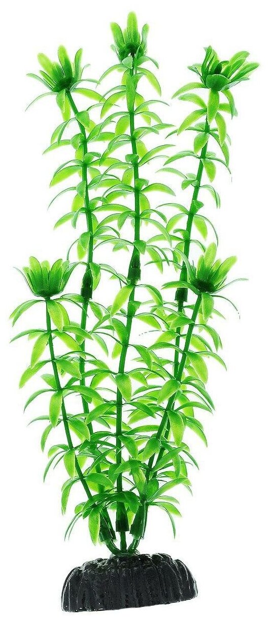 Искусственное растение BARBUS Элодея 20 см зеленый 20 см
