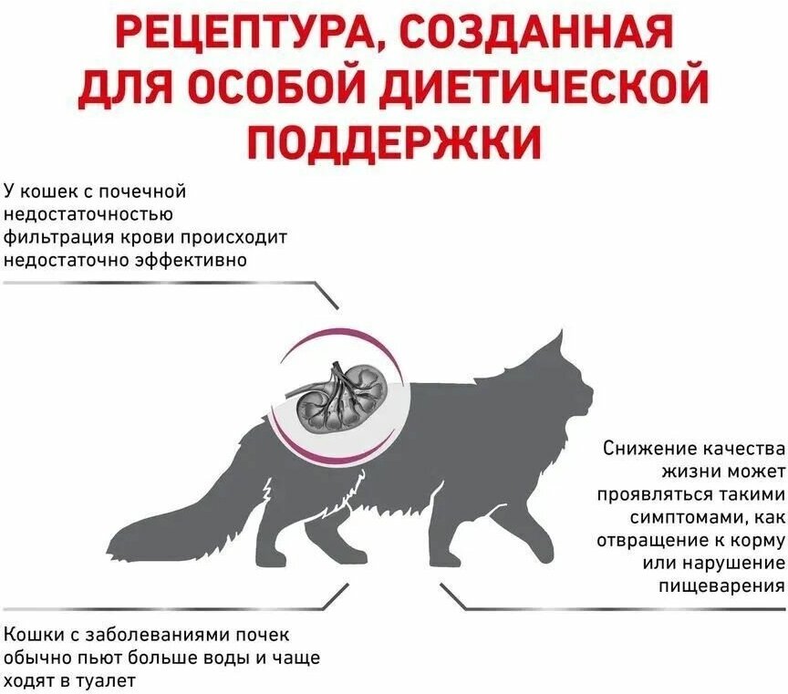 Корм Royal Canin Renal для кошек, для лечения почек, 2 кг - фотография № 8