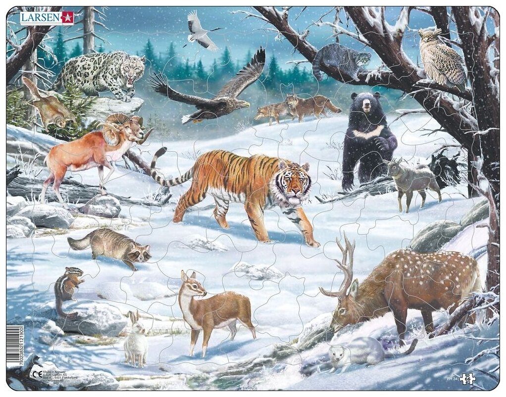 FH34 - Животные Сибири и Дальнего Востока