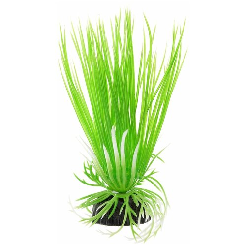 Искусственное растение BARBUS Акорус 10 см зеленый искусственное растение barbus элодея 10 см зеленый
