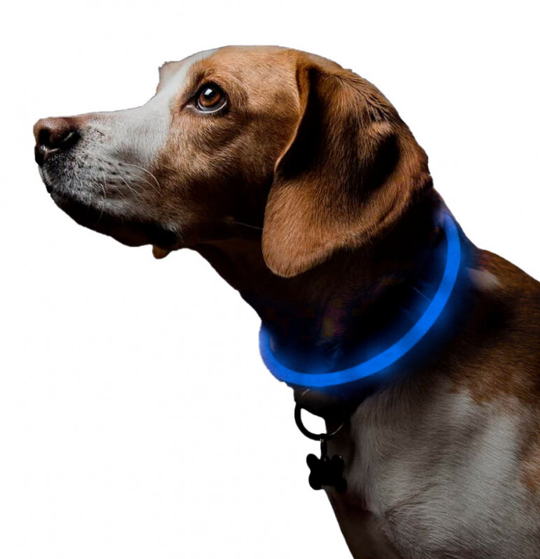 Ошейник для собак/ светящийся ошейник/ собачий ошейник LED 40см Petsy синий