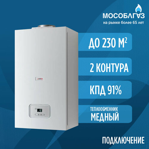 Газовый настенный котел Protherm Гепард 23MOV (Двухконтурный) - 23 кВт котел газовый настенный гепард 12 mov 12 квт двухконтурный атмосферный protherm