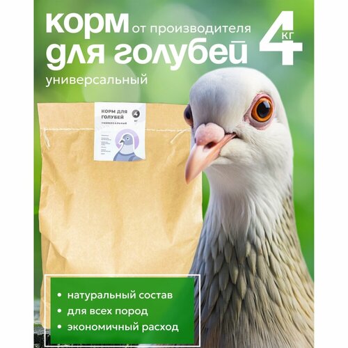 Корм для голубей универсальный