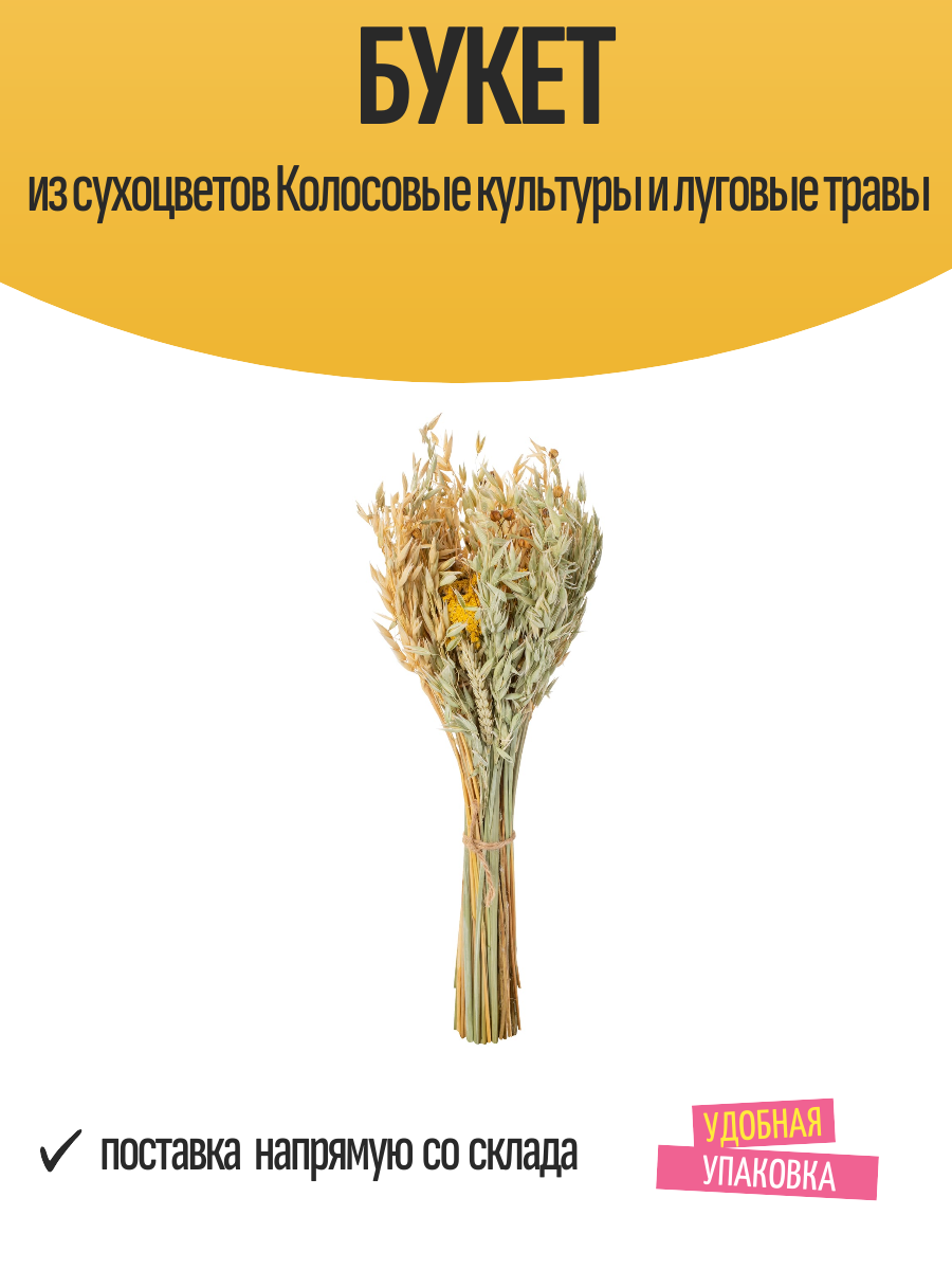 Букет из сухоцветов Колосовые культуры и луговые травы