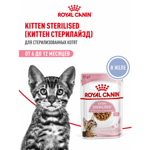 Влажный корм для стерилизованных котят Royal Canin Kitten Sterilised кусочки в желе, 28 шт по 85 г
