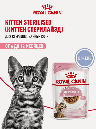 Изображение товара Влажный корм для стерилизованных котят Royal Canin Kitten Sterilised кусочки в желе, 28 шт по 85 г