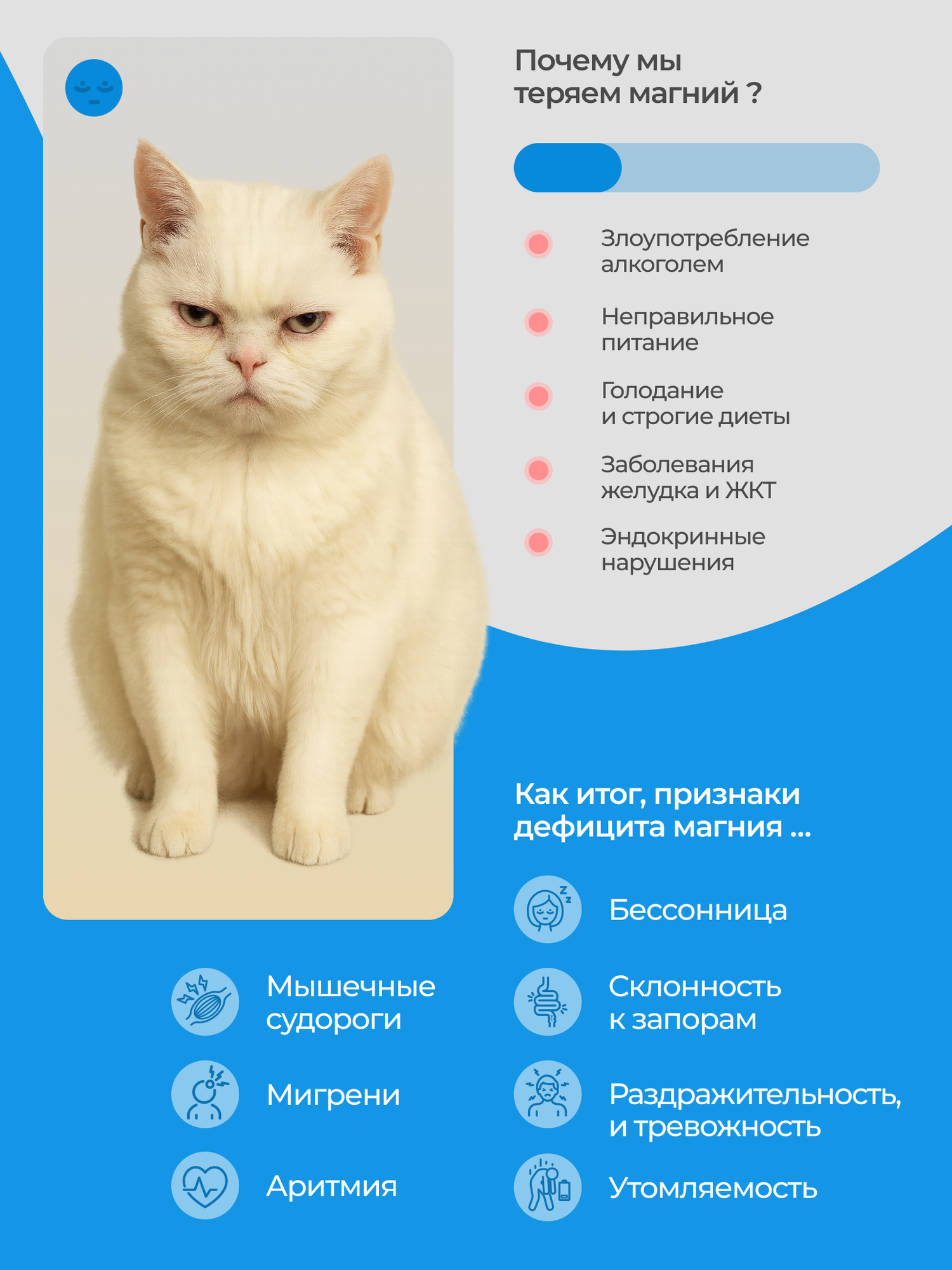 Магний цитрат VITAMIR PRO / Бад антистресс для нервной системы / 400 мг, 100 капсул — фото 1