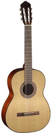 Классическая гитара 4/4 с чехлом, Parkwood PC90