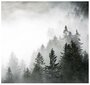 Фотообои флизелиновые Premium " Туман в лесу" 270х253 см (ШхВ)