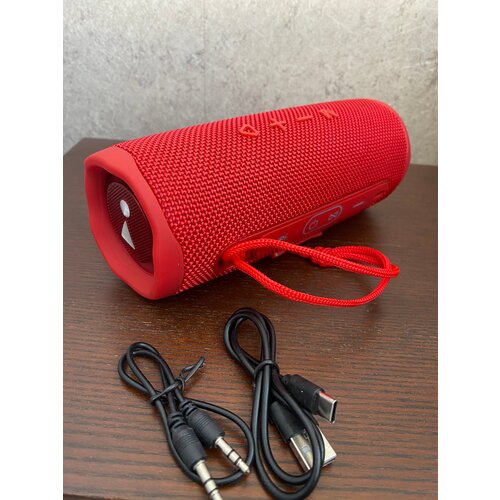 Колонка портативная Flip 6 160000₽