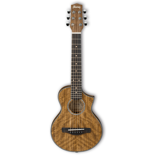 IBANEZ EWP14WB-OPN акустическая гитара акустическая гитара ibanez aad140 opn