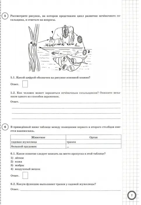ВПР ЦПМ. Биология. 8 класс. Типовые задания. 10 вариантов. - фото №4