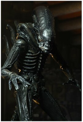 Neca alien sale ultimate