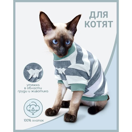 Футболка одежда для кошек и котят Сфинкc "Рэмбо-4", размер XXS