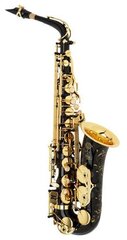 Саксофон-альт Selmer Jubilee SA80II NGGO S2313020078