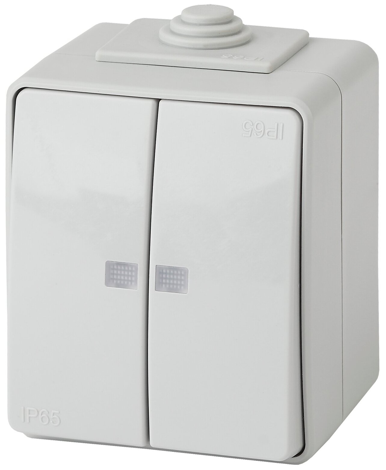 фото Выключатель ЭРА Эксперт 11-1605-03 накладной IP65 10А 250В серый двухклавишный с подсветкой