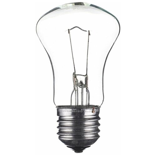 Лампа накаливания 60 Вт E27 грибок 36 В прозрачная