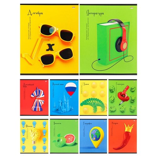 фото Набор тетрадей предметных а5 48л 10шт на контрасте, мел.карт. 48-1038 проф-пресс