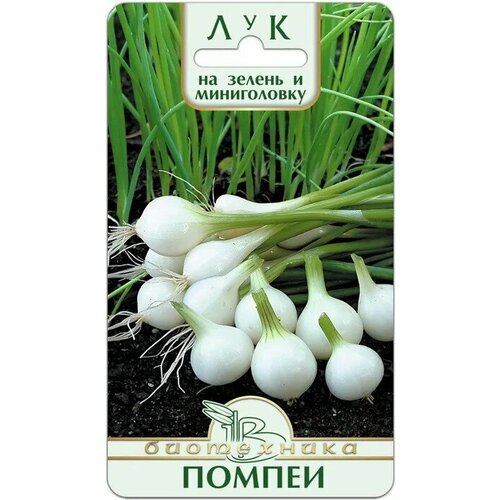 Лук Помпеи на зелень и мини-головку (Семена биотехника, 0,5г) х 2 упаковки