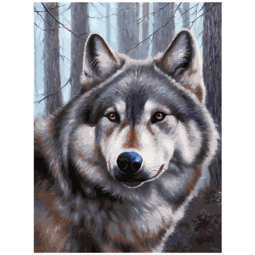 Белоснежка Картина по номерам Волк (3090-CS), 30 х 40 см, разноцветный белоснежка картина по номерам медовая сова 3074 cs 40 х 30 см разноцветный