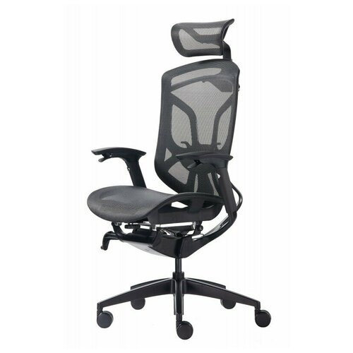 Премиум эргономичное кресло GT Chair Dvary X, чёрный