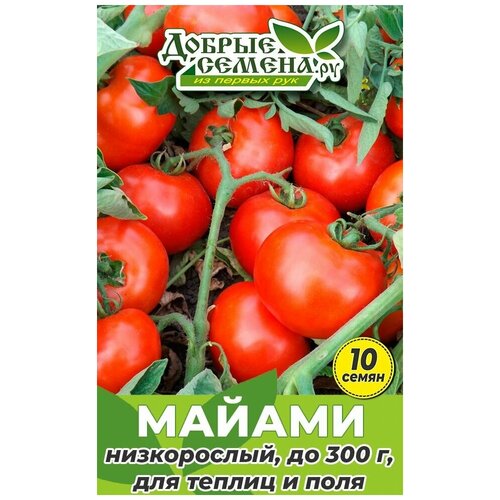 Семена томата Майами - 10 шт - Добрые Семена. ру семена томата бушмен жёлтый 10 шт добрые семена ру