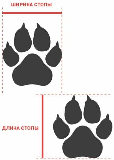 Ботинки для собак мелких пород Arnydog DOG, темно-серый, 4# (5.5 см) - фотография № 4