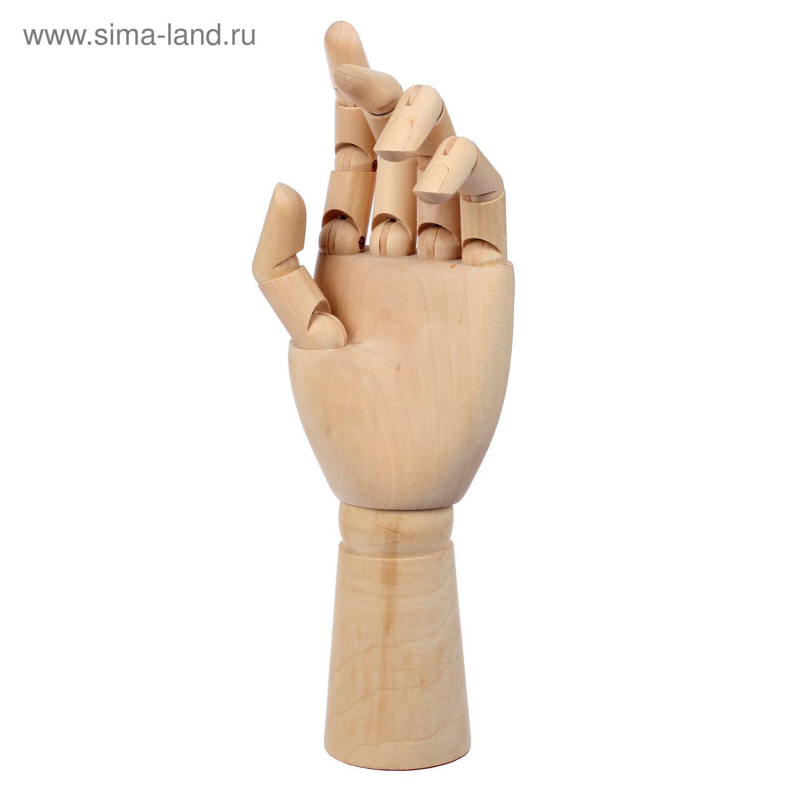 Модель деревянная рука, мужская, левая, 31 см (1шт.)