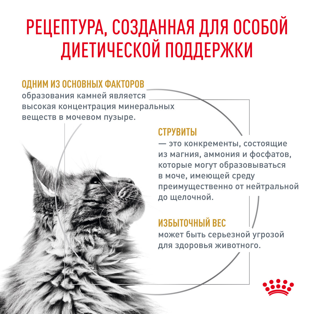 Корм для кошек ROYAL CANIN - фото №3