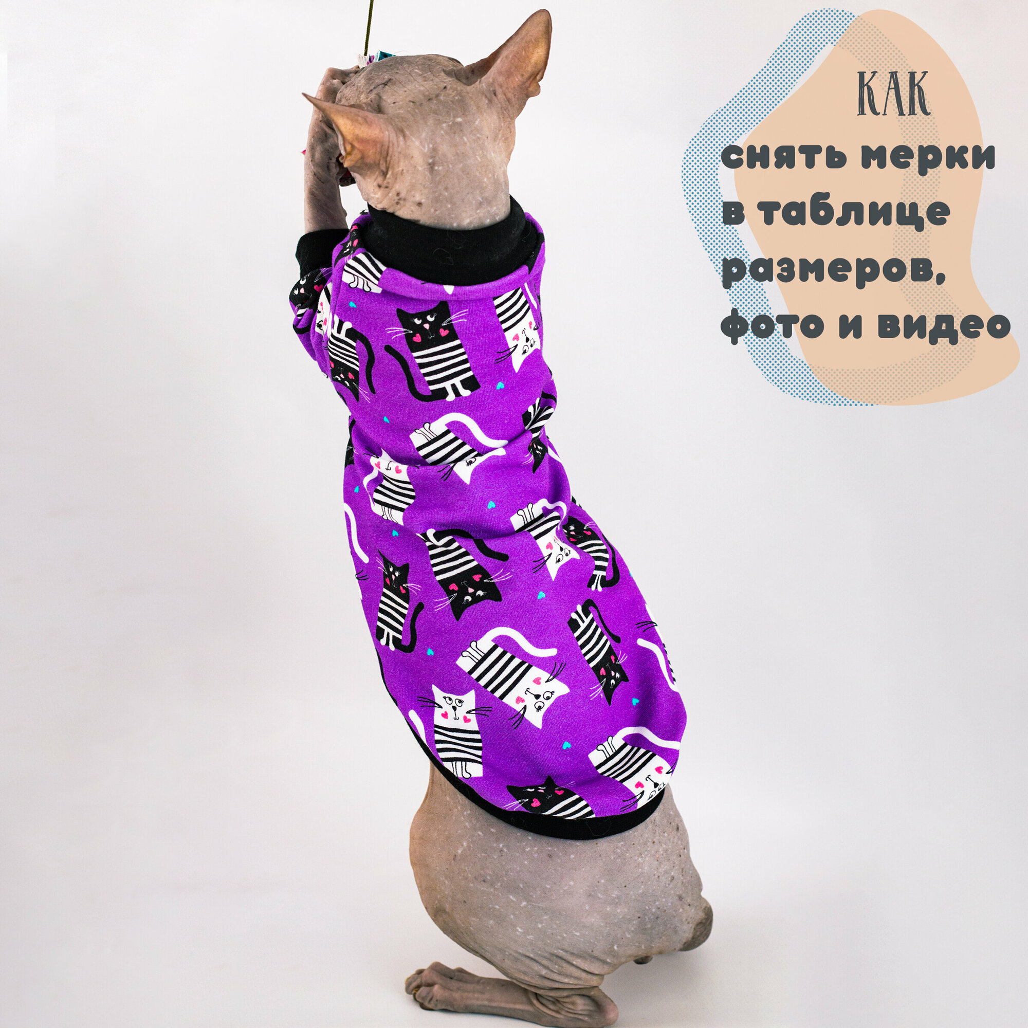 Одежда для кошек Элегантный Кот, кофта Лавандовый Шарм , размер M - фотография № 6