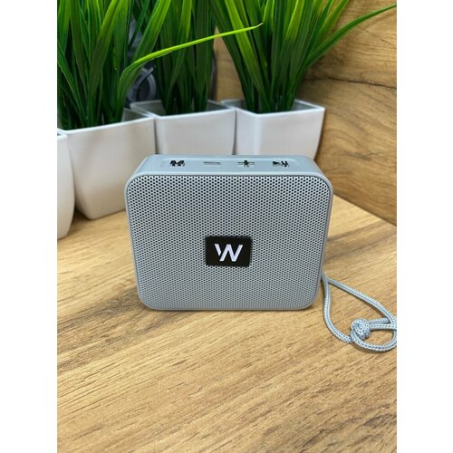 Беспроводная портативная колонка Bluetooth, WALKER, WSP-100, музыкальная переносная акустическая система блютуз для компьютера и телевизора, серый
