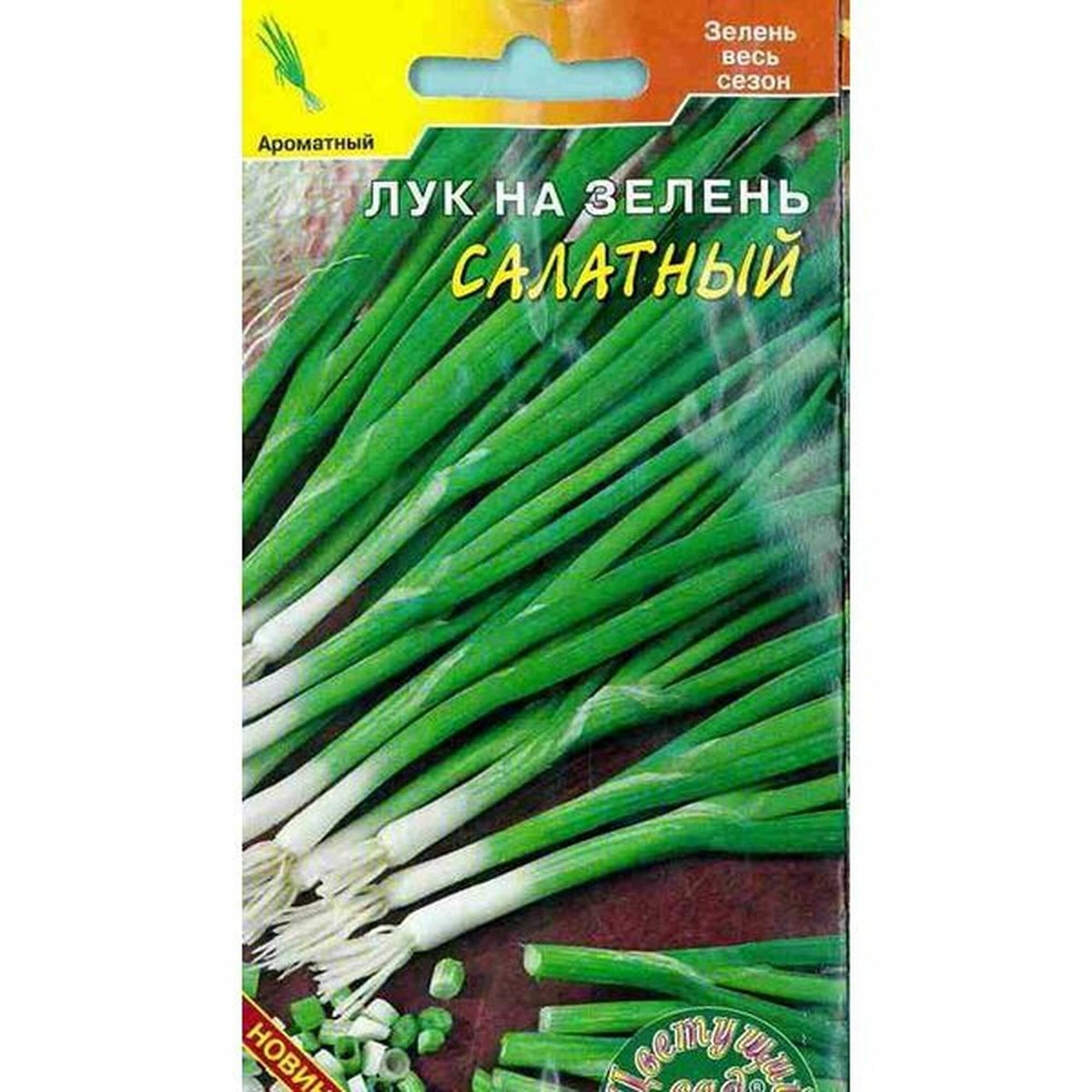 Семена Лук на зелень Салатный Цветущий Сад 1 пачка - 0.3г семян