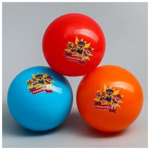Paw Patrol Мяч детский, Paw Patrol Команда, диаметр 16 см, 50 г, цвета микс