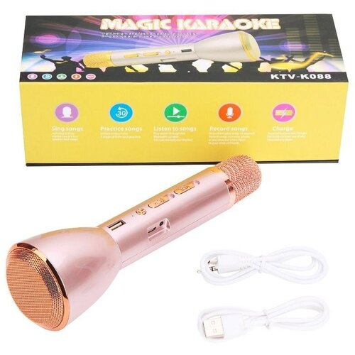 Колонка с функцией Караоке Микрофона K088 USB microSD AUX Bluetooth золотой 69900₽