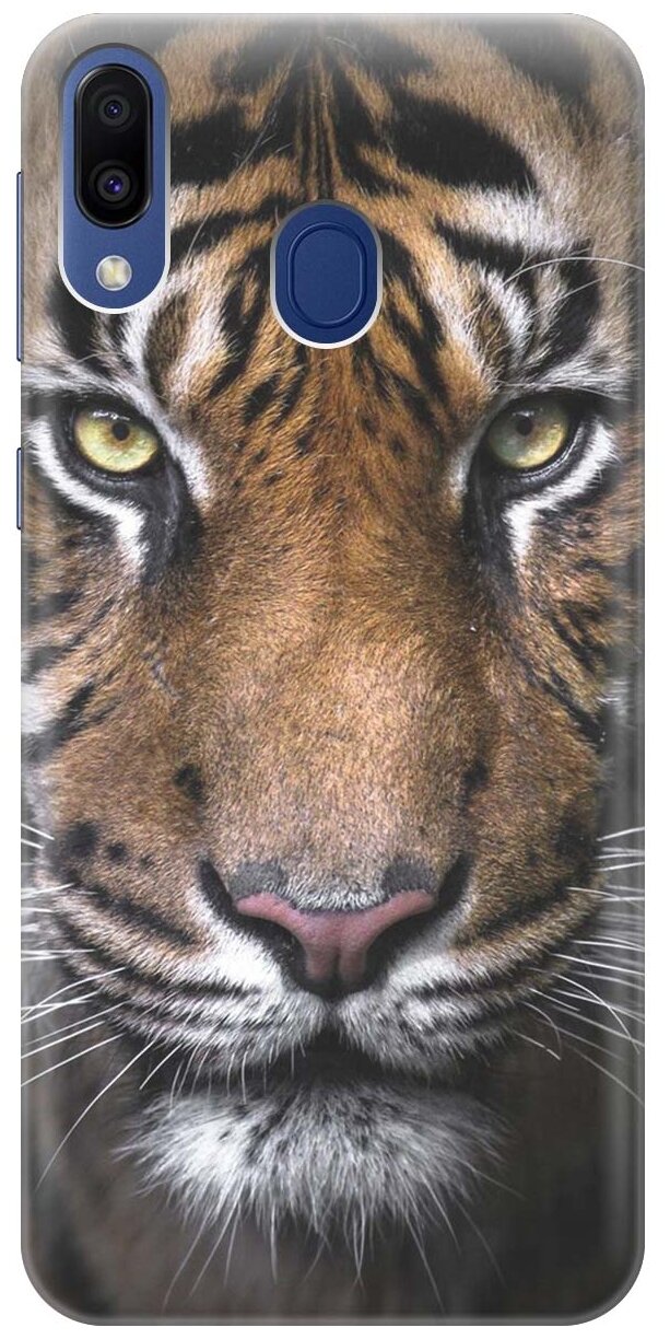 RE:PAЧехол - накладка ArtColor для Samsung Galaxy M20 с принтом "Тигр"
