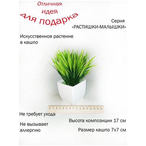 Искусственное растение в кашпо. Декоративное растение в горшке. Подарок женщине, девушке